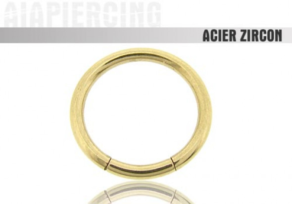 Piercing anneau segment zircon