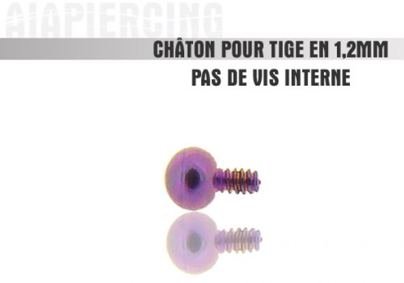 Piercing accessoire Châton bille violette