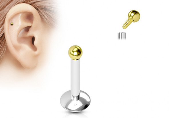 Accessoire Piercing Bille Acier gold 1.2x2.5 mm discret idéal,traguis,cartilage, 