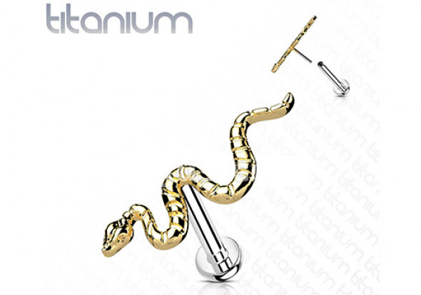 Piercing Labret serpent titane Push-In plaqué or